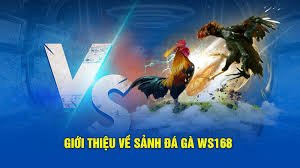 Giao diện trò chơi Baccarat tại WS168 BJ88
