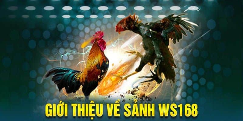 Phòng live sảnh WS168 với dealer quyến rũ