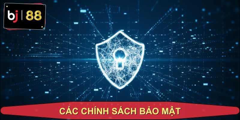 Các chính sách bảo mật và quyền lợi thành viên
